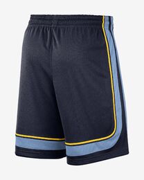 NIKE GRIZZLIES SWINGMAN SHORTSIT