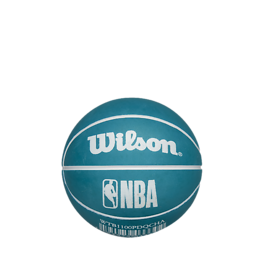 Wilson Charlotte Hornets mini pomppupallo