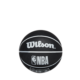 Wilson Toronto Raptors mini pomppupallo