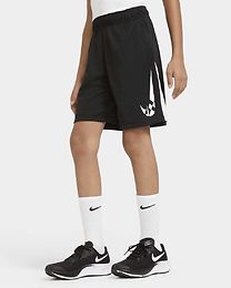 Nike Youth Dri-Fit Graphic Shortsit