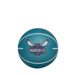 Wilson Charlotte Hornets mini pomppupallo